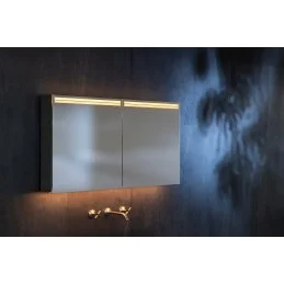 Schneider ARANGA TW Ansicht in warmer Beleuchtung